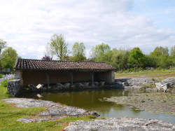 De streek
